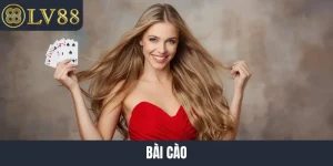 Bài Cào